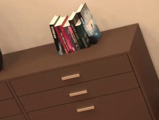 【扶她SLG/官中/动态】天空度假村2v1.0a汉化版【PC 安卓/2.65G/更新】